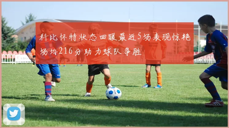 科比怀特状态回暖最近5场表现惊艳场均216分助力球队争胜